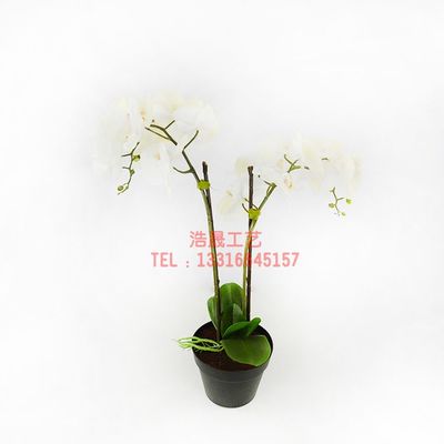 東莞廠家直銷，優質仿真盆栽裝飾，定制您的理想塑料植物盆景